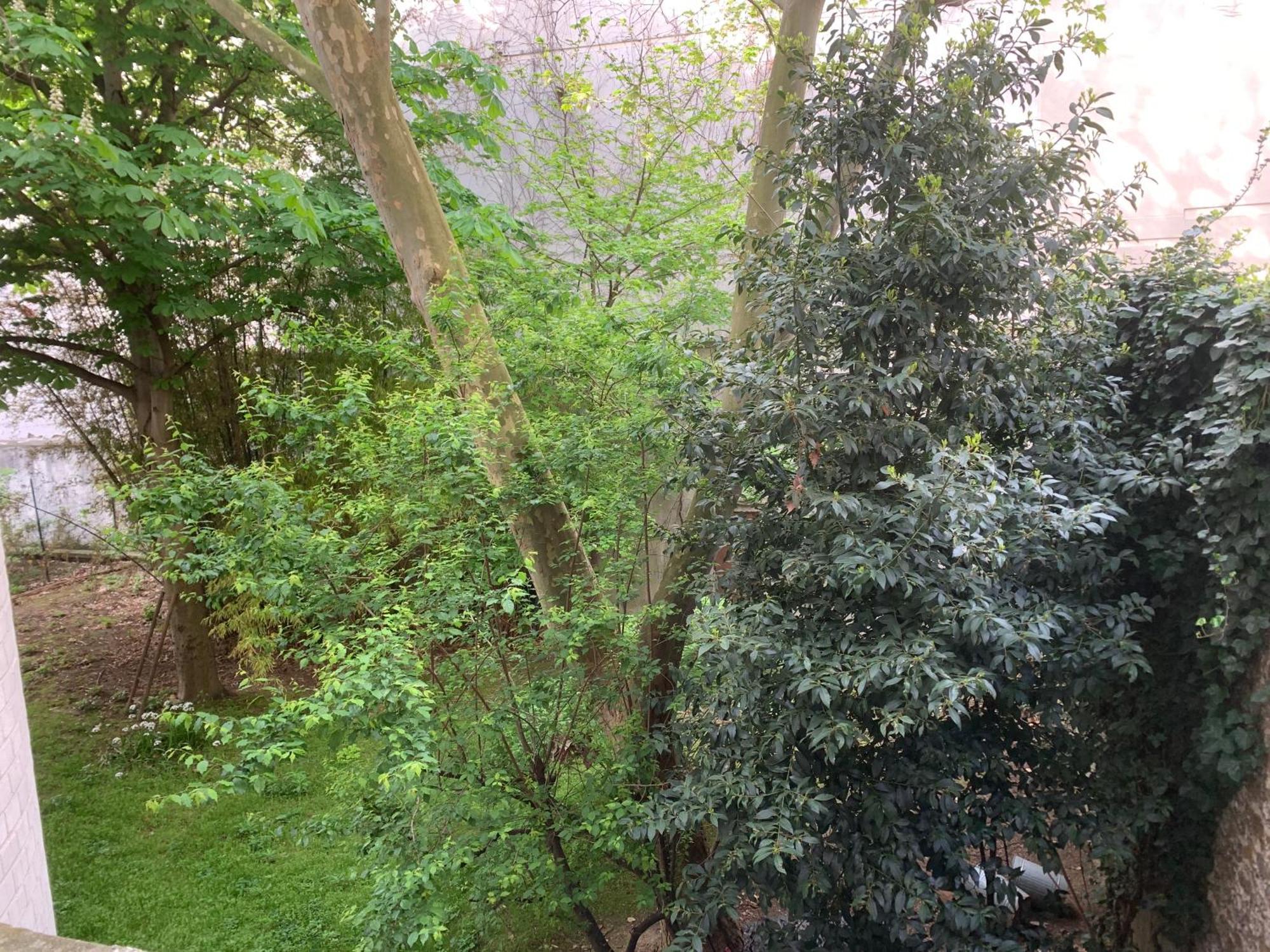 פריז Charmant Studio Pere Lachaise מראה חיצוני תמונה